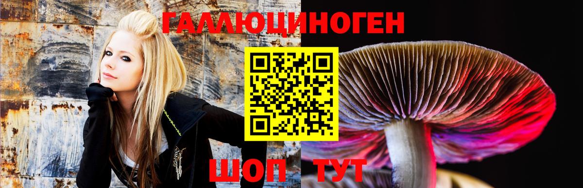 Галлюциногенные грибы MAGIC MUSHROOMS Дальнегорск