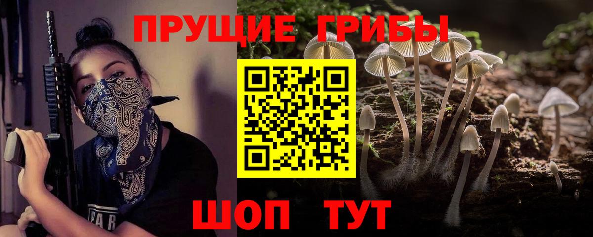 Галлюциногенные грибы GOLDEN TEACHER  Вход с VPN  Дальнегорск 